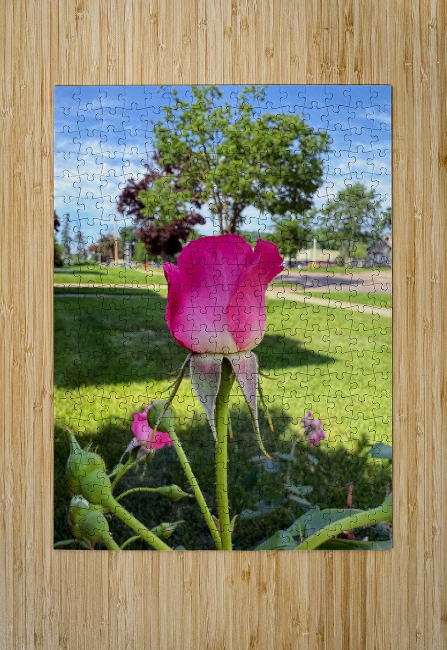 Petalbound: The Secret Just Before Beauty Speaks Click4Pix Puzzle printing