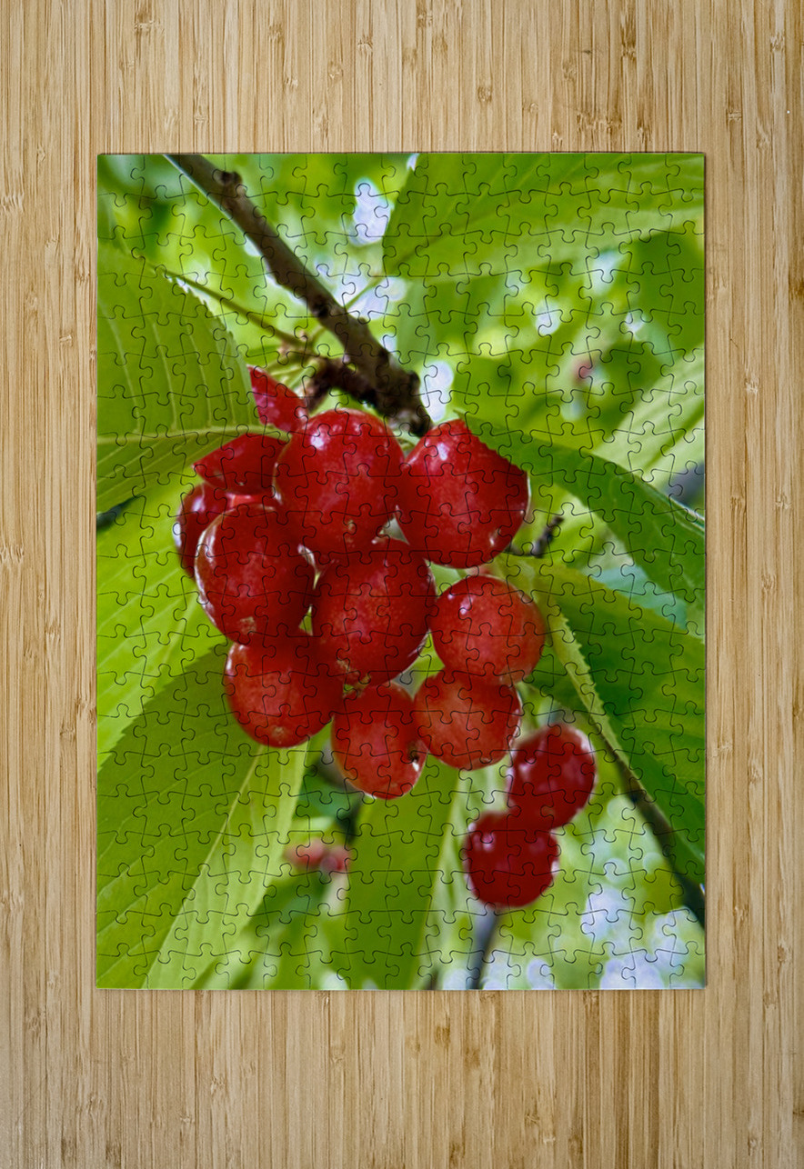 The Orchard’s Pulse: Where Color and Ripeness Conspire Click4Pix Puzzle printing