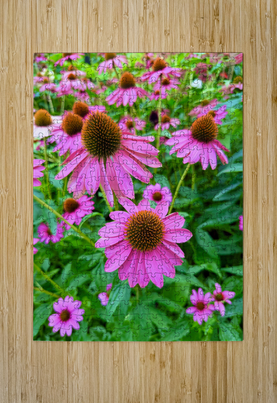 Petal Parade Click4Pix Puzzle printing