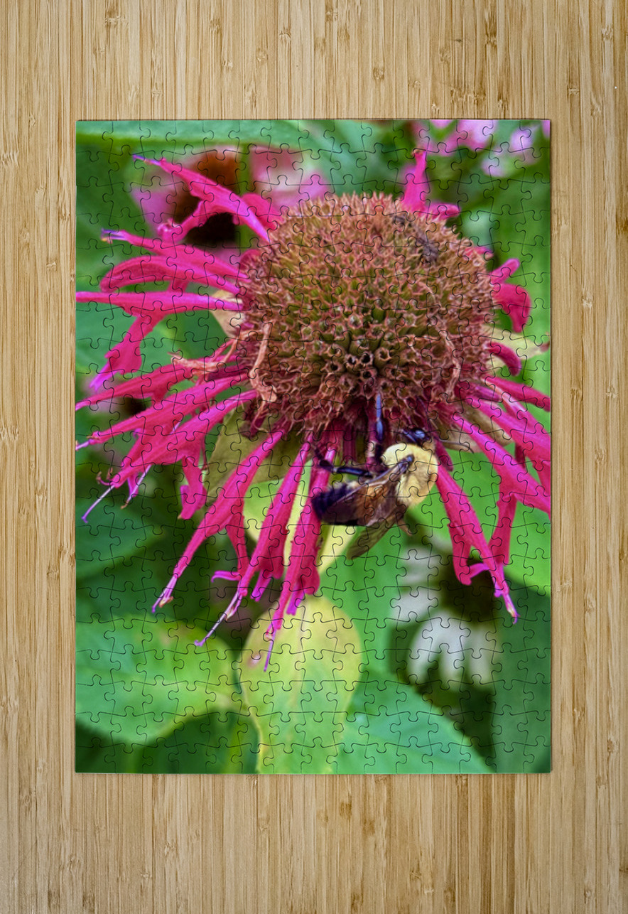 Vital Encounter Click4Pix Puzzle printing