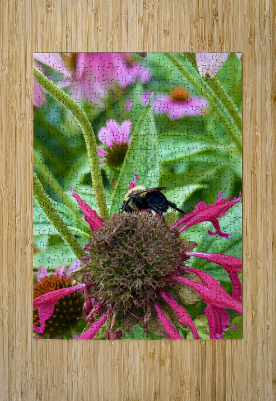 Fading Glory Last Harvest Click4Pix Puzzle printing