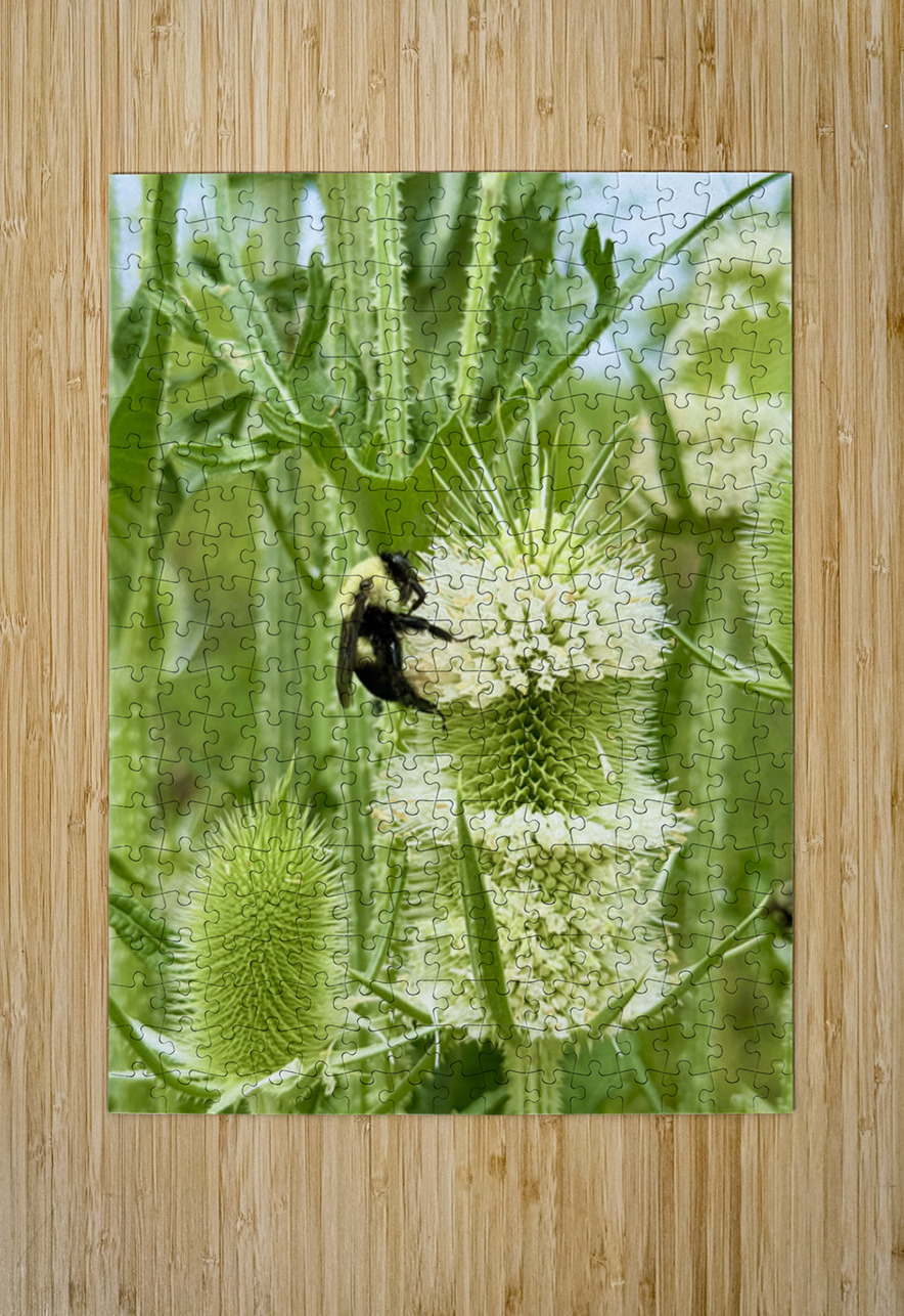 Teasel’s Midday Guest Click4Pix Puzzle printing