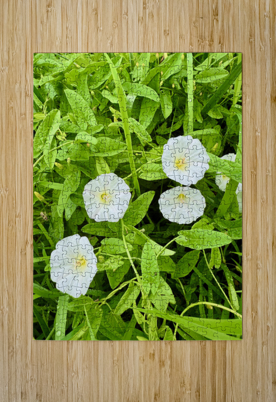 Clustered Bindweed Flowers Click4Pix Puzzle printing