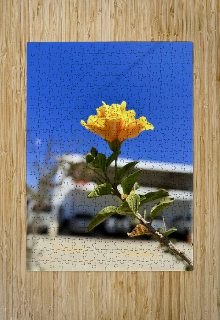 IMG 9796 Click4Pix Puzzle printing