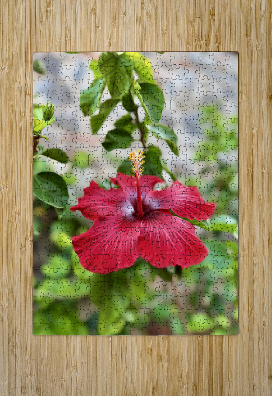 IMG 9953 Click4Pix Puzzle printing