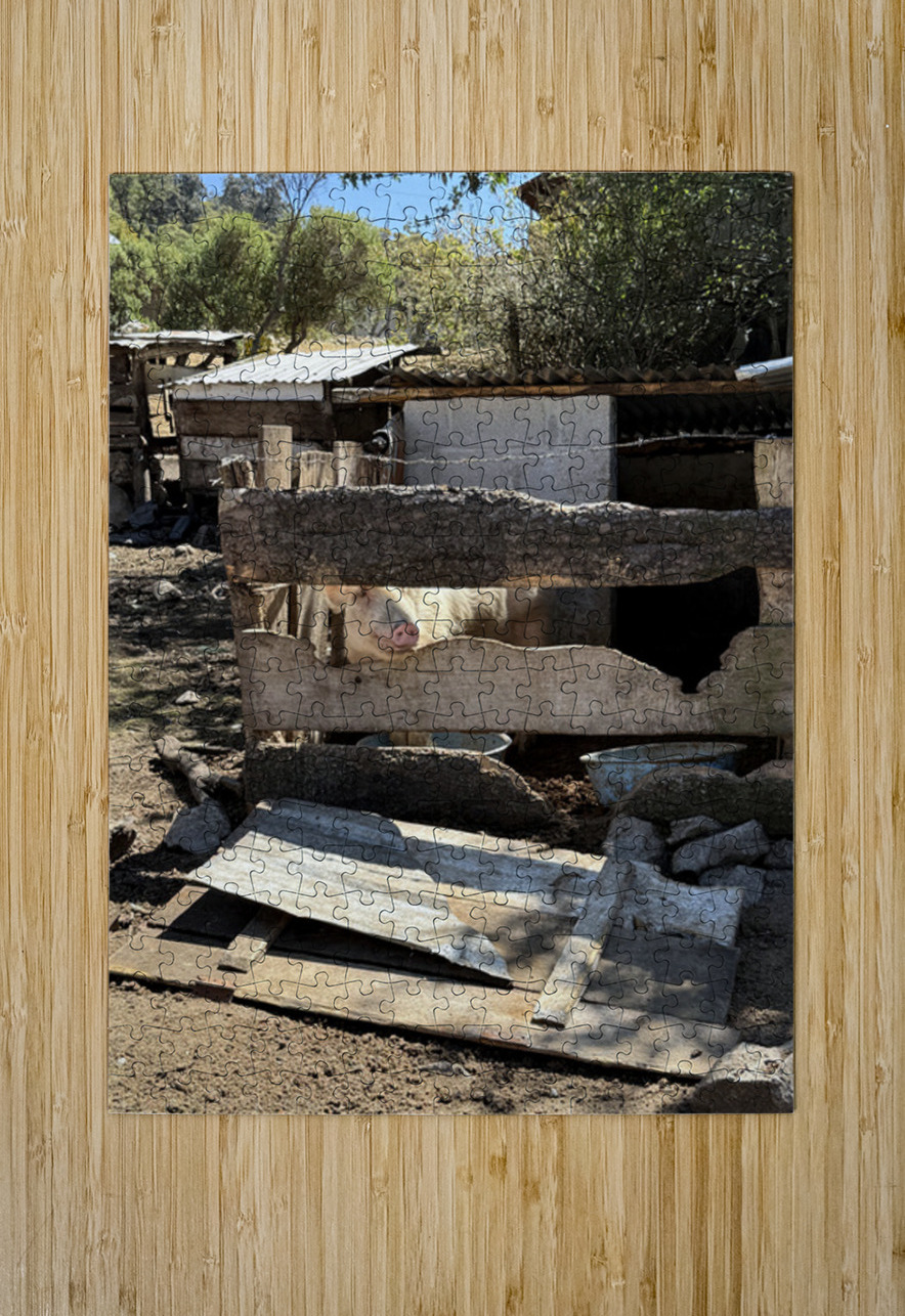 IMG 9517 Click4Pix Puzzle printing