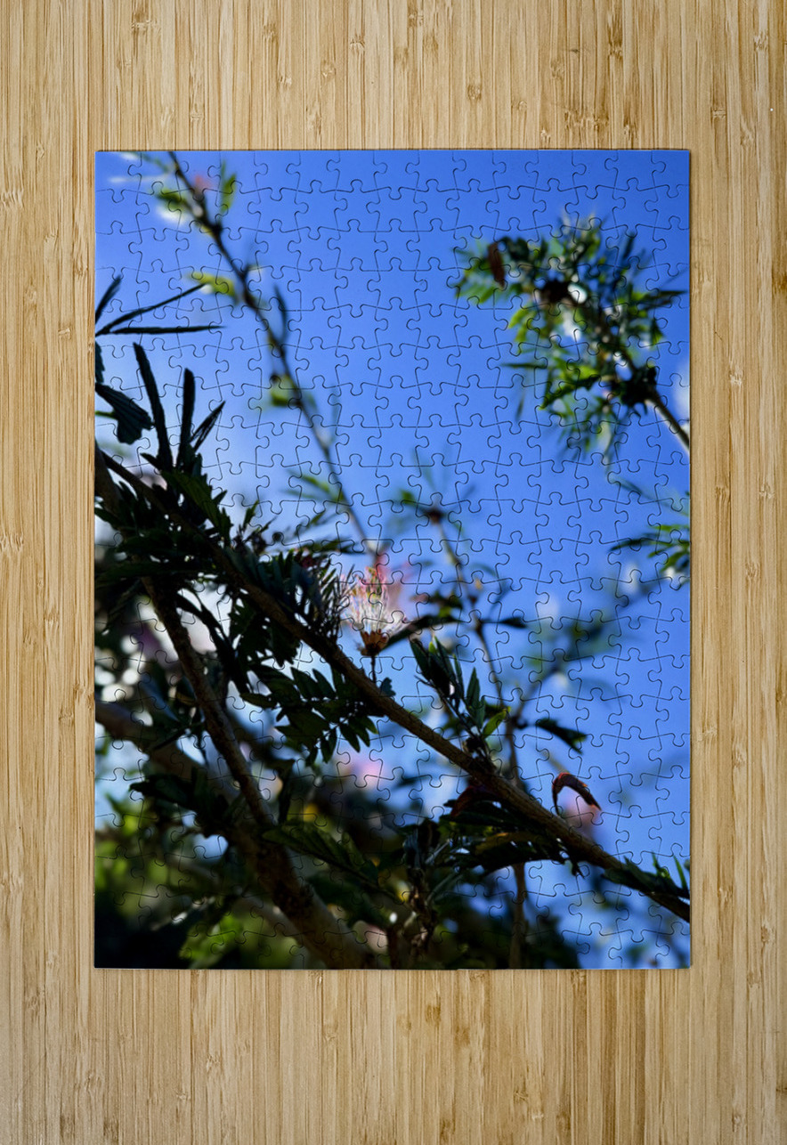 IMG 0029 Click4Pix Puzzle printing