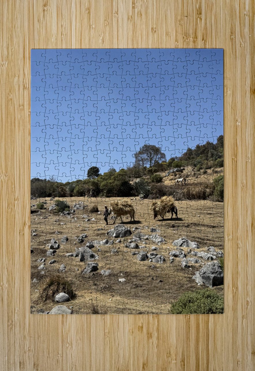 IMG 9555 Click4Pix Puzzle printing