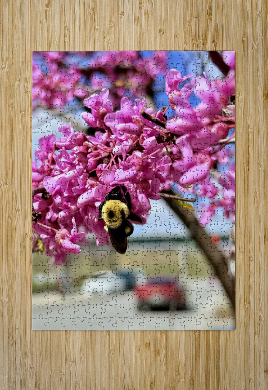 IMG 1570 Click4Pix Puzzle printing