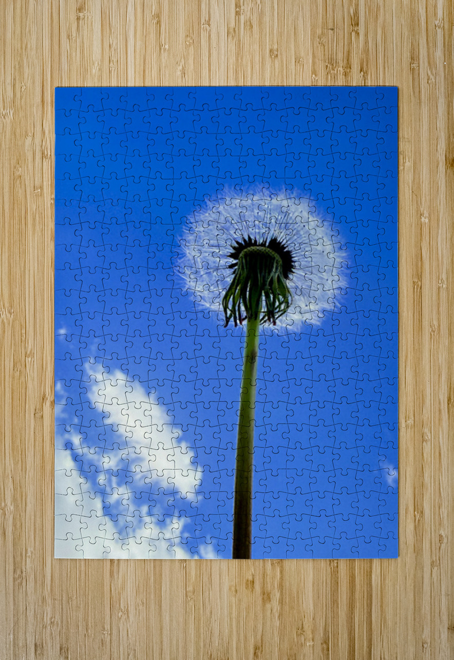 Open Sky Dreamer Click4Pix Puzzle printing