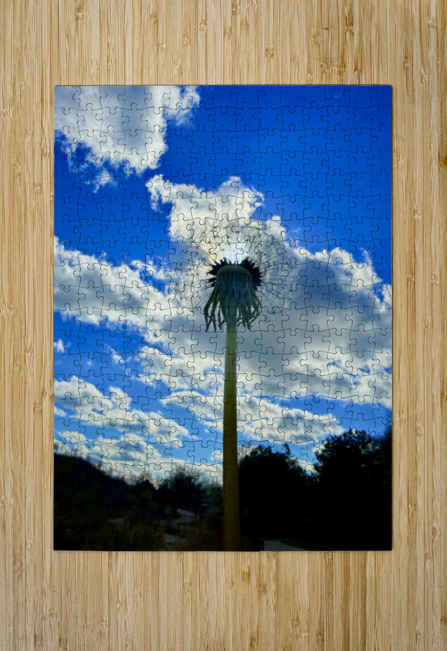 IMG 1755 Click4Pix Puzzle printing