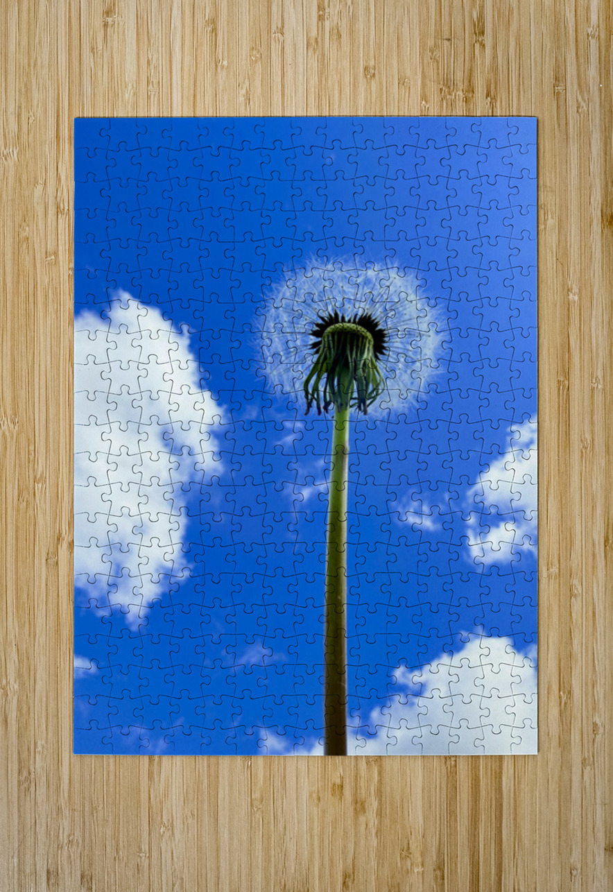 IMG 1759 Click4Pix Puzzle printing