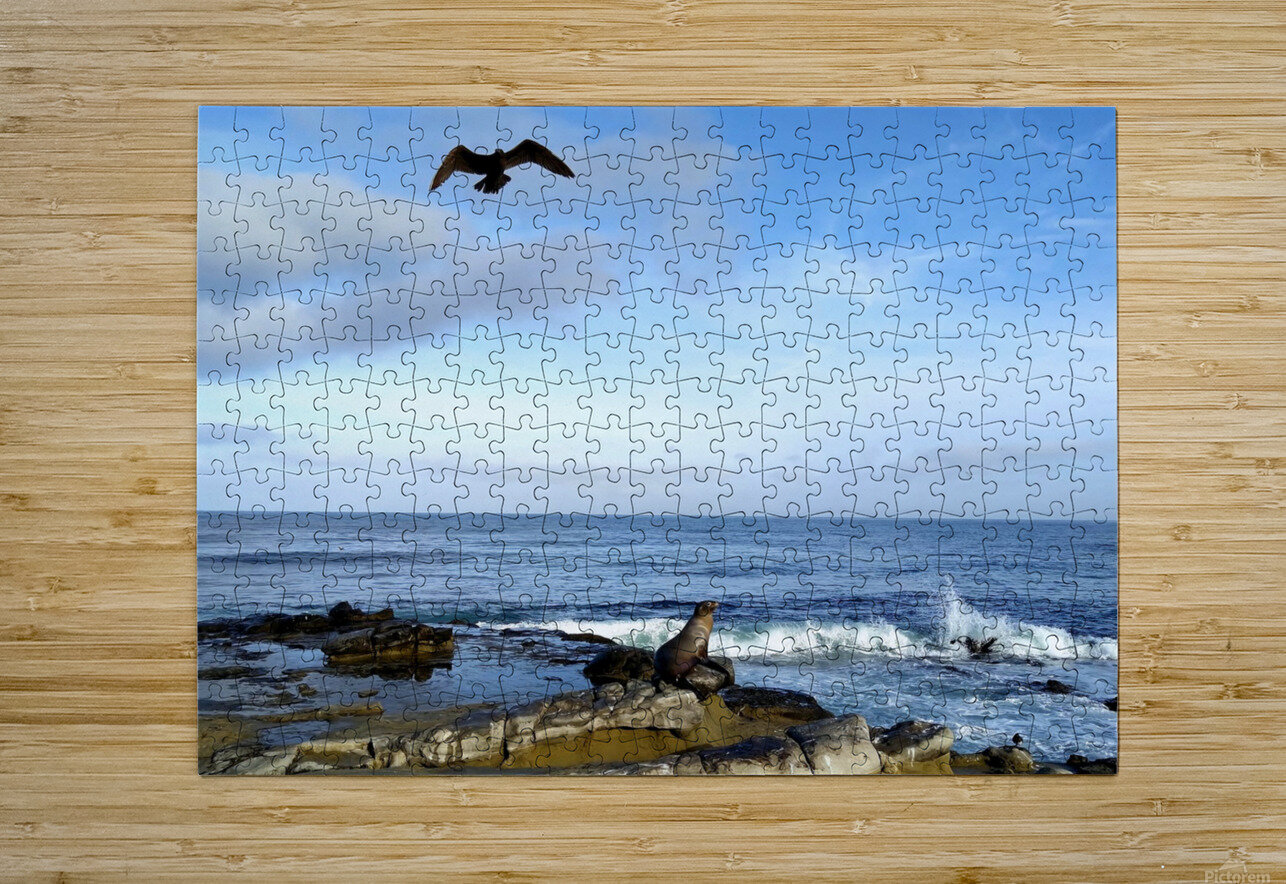 Seal Bird Watching 3 Click4Pix Puzzle printing
