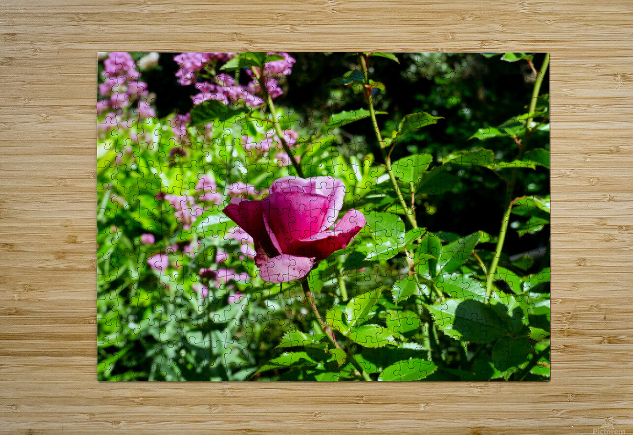 Penelope Purple Click4Pix Puzzle printing