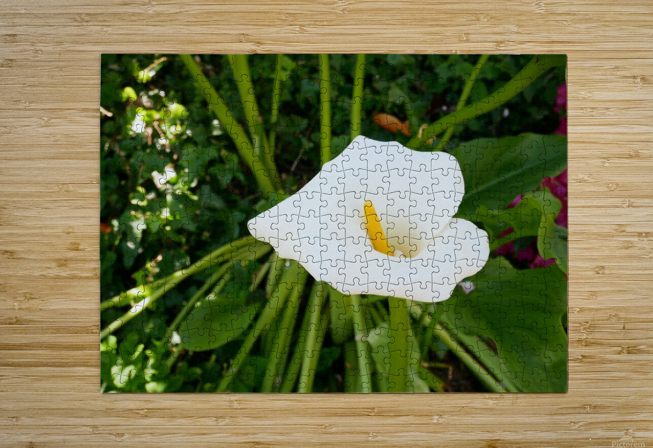 Golden Rod Exposed Click4Pix Puzzle printing