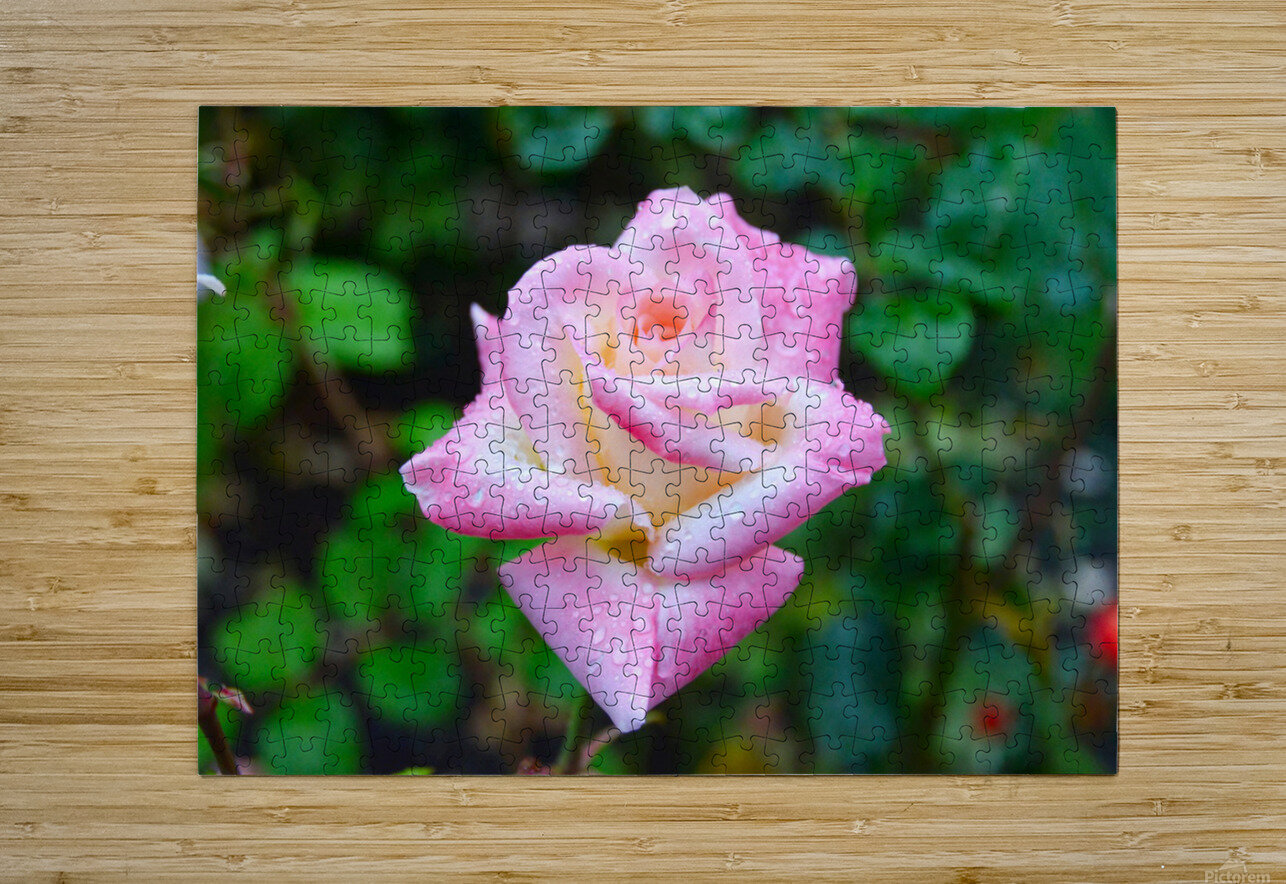 Beautiful Sweat Click4Pix Puzzle printing