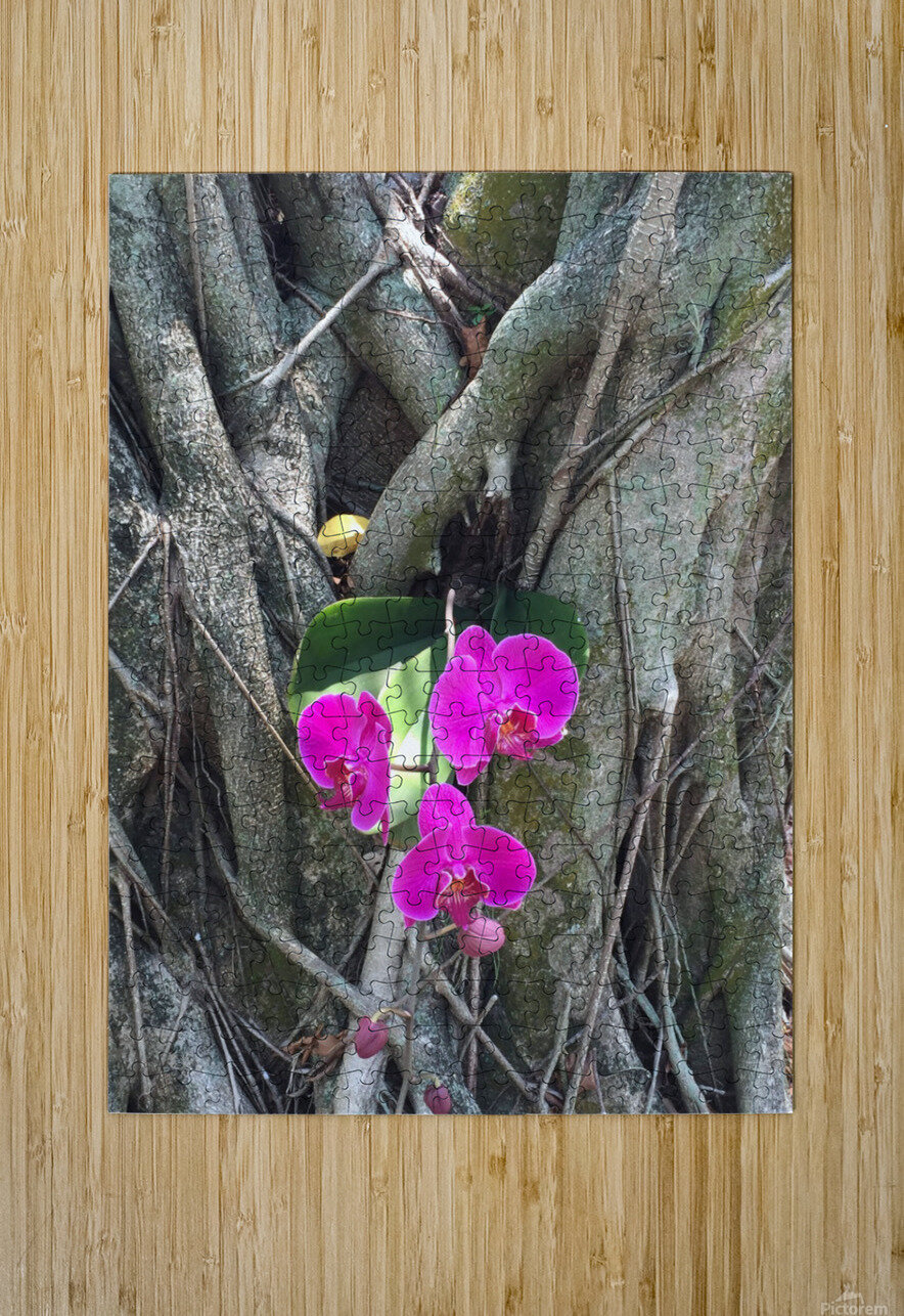 Natural Orchid 1 Click4Pix Puzzle printing