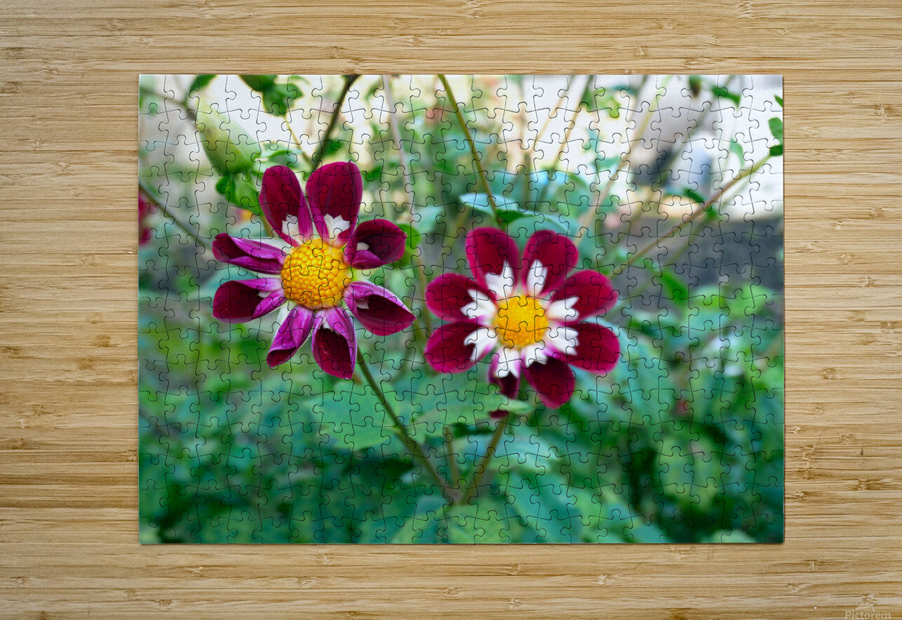 Flower Bloom 5 Click4Pix Puzzle printing