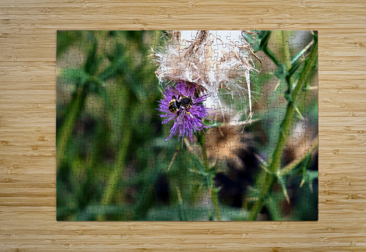 To Bee or Not to Bee  2 Click4Pix Puzzle printing