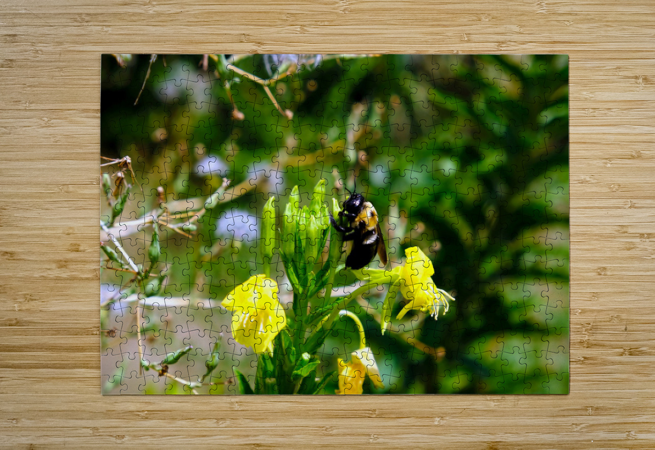 To Bee or Not to Bee  -- Early Bee Gets the Pollen Click4Pix Puzzle printing