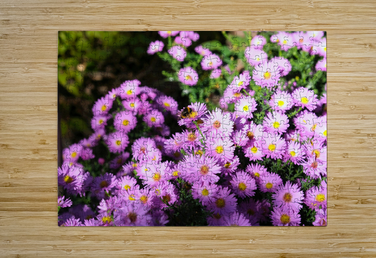 Pink Daisies  Click4Pix Puzzle printing