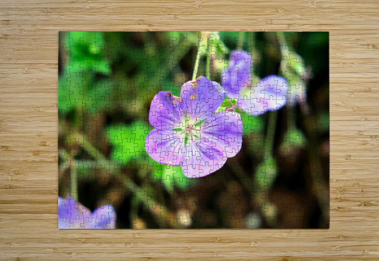 Flower Bloom 8 Click4Pix Puzzle printing