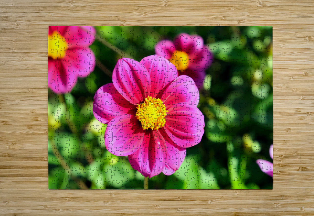 Flower Bloom 7 Click4Pix Puzzle printing