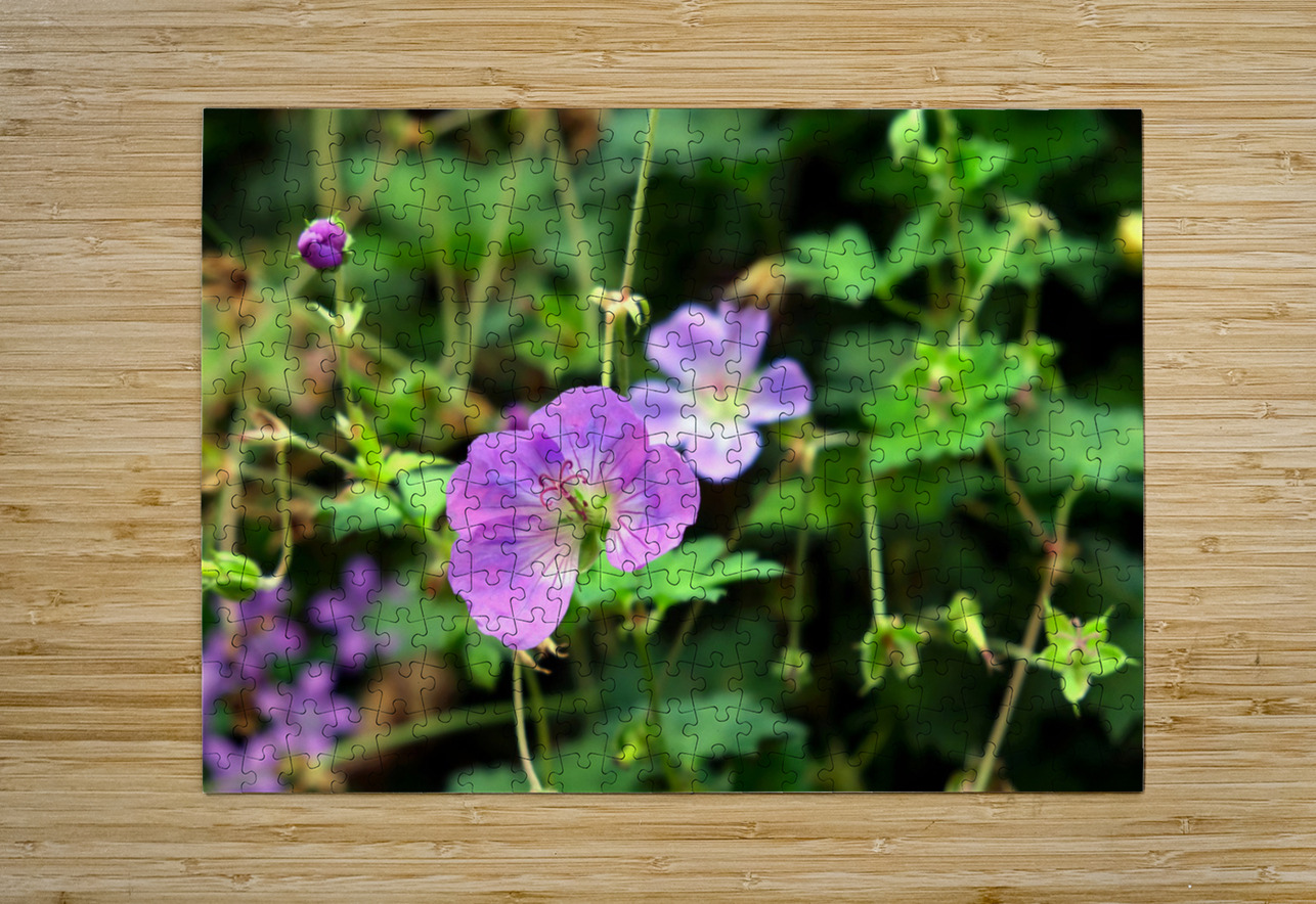 Flower Bloom 8B Click4Pix Puzzle printing