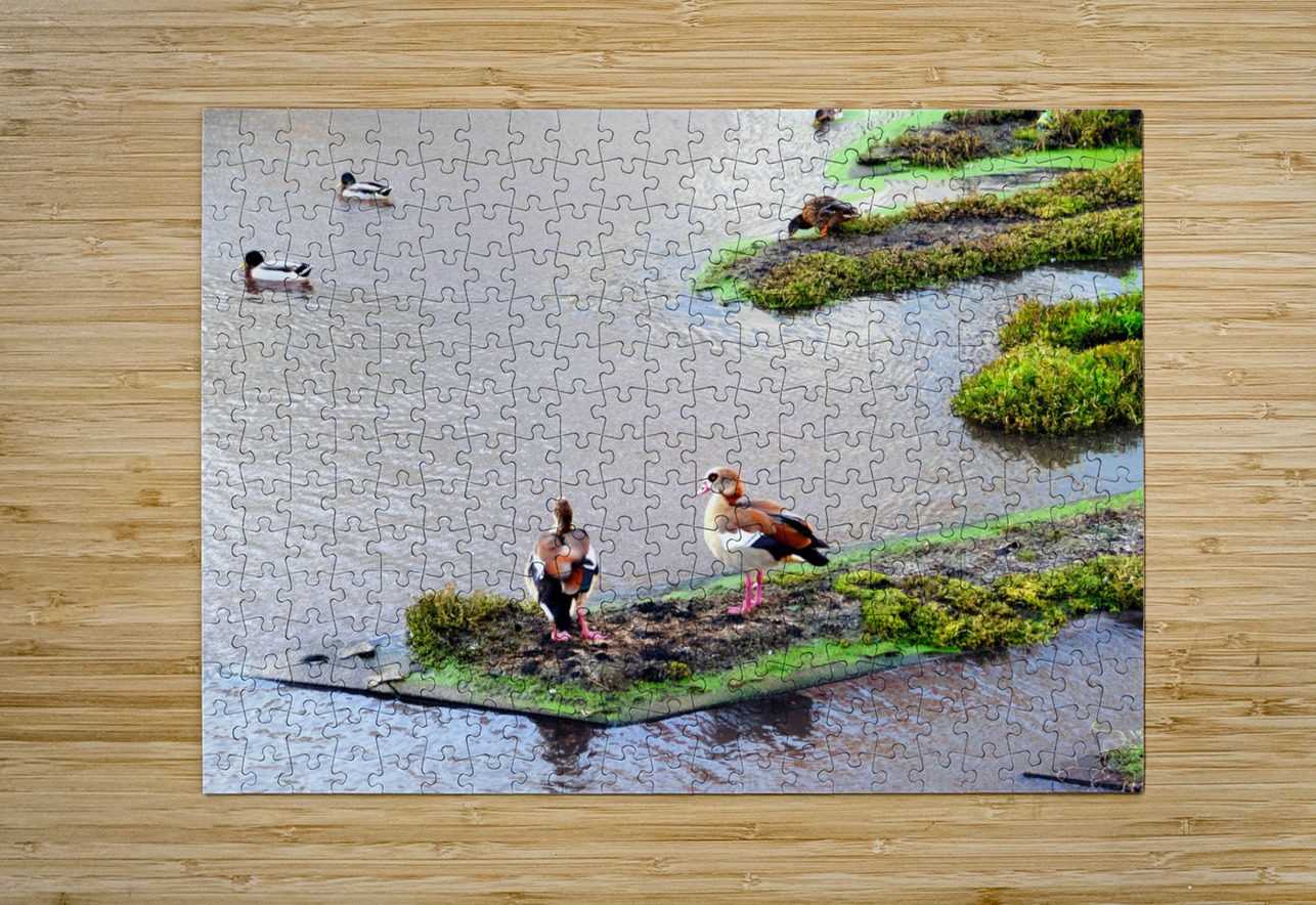 In Living Color Ducks Click4Pix Puzzle printing