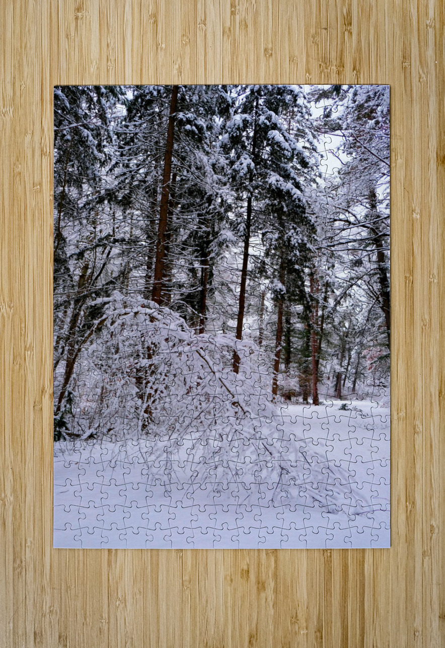 Bowing to Winter 2 Click4Pix Puzzle printing