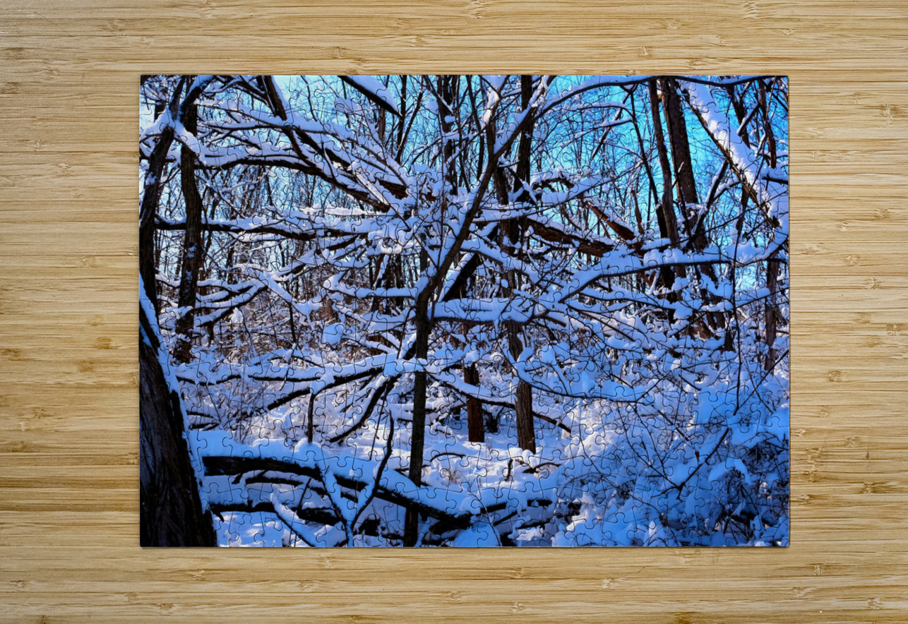 Frozen Limbs 2B Click4Pix Puzzle printing