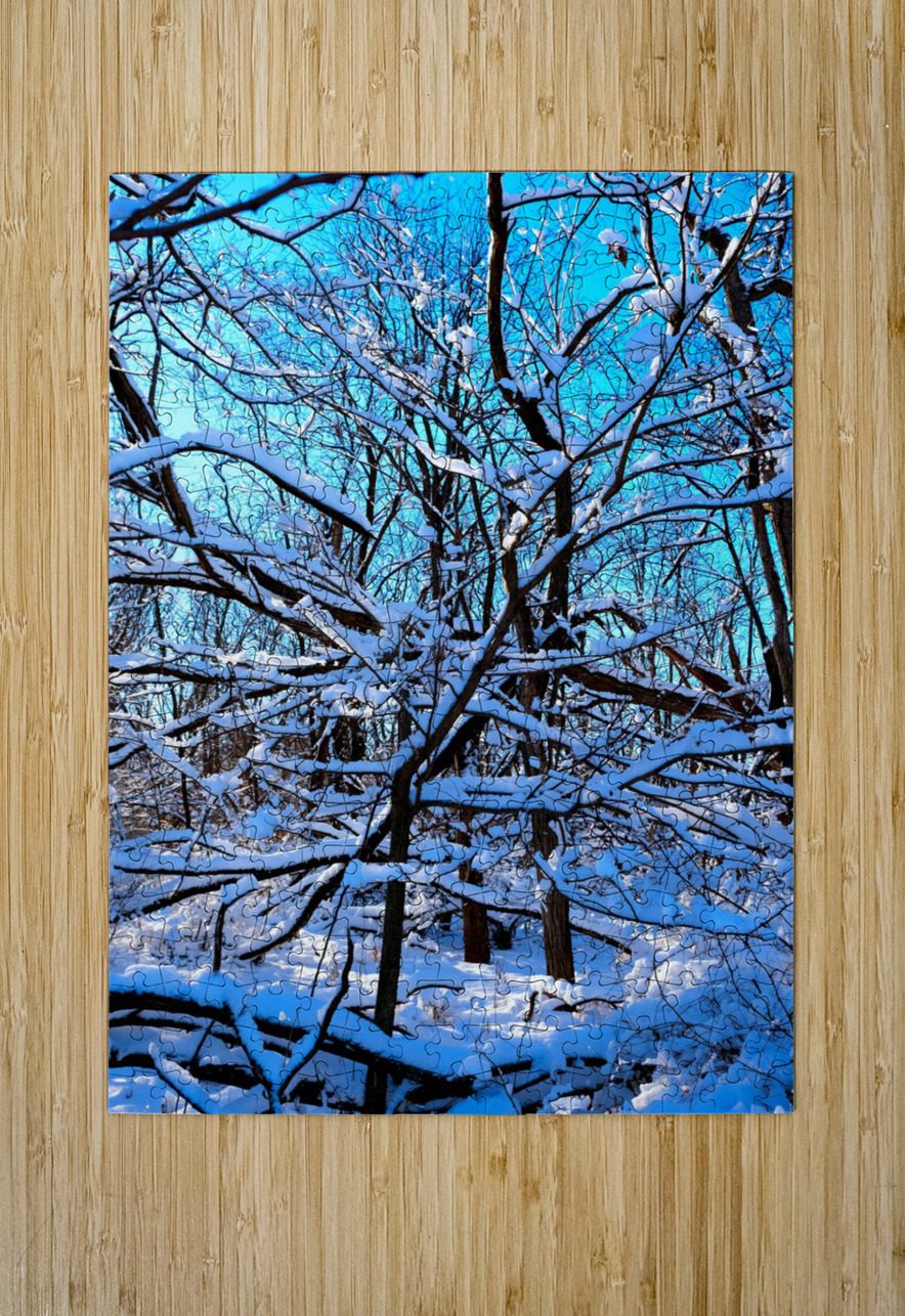 Frozen Limbs 3B Click4Pix Puzzle printing