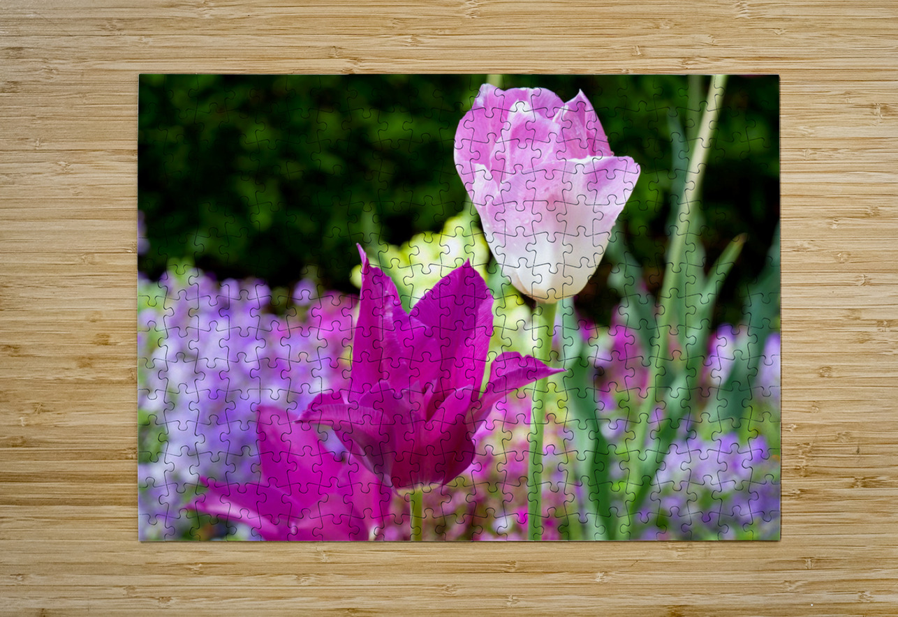 Tulips Are Better Than One 3 Click4Pix Puzzle printing