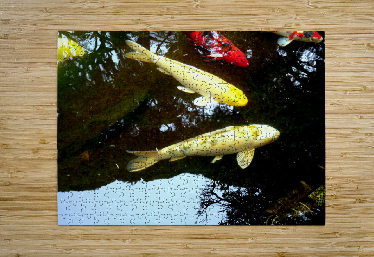 Some Very Coy Koi 2 Click4Pix Puzzle printing