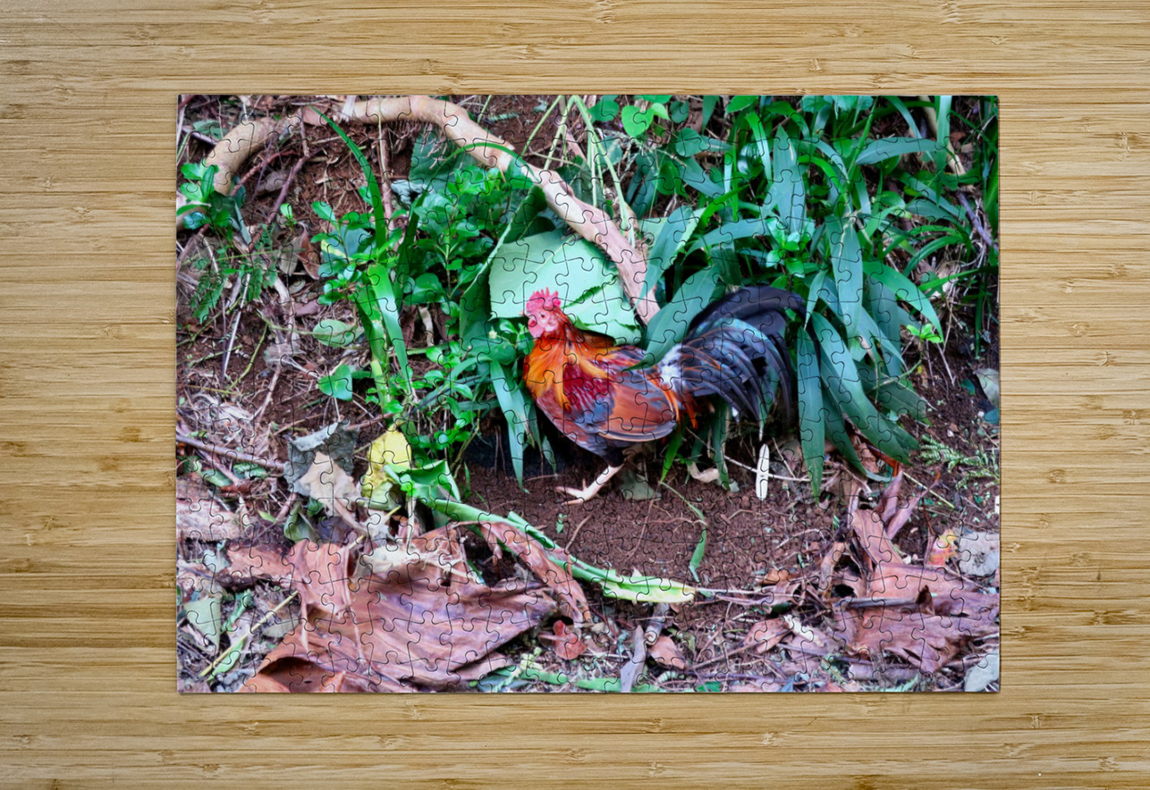 Cock in the Wild Click4Pix Puzzle printing