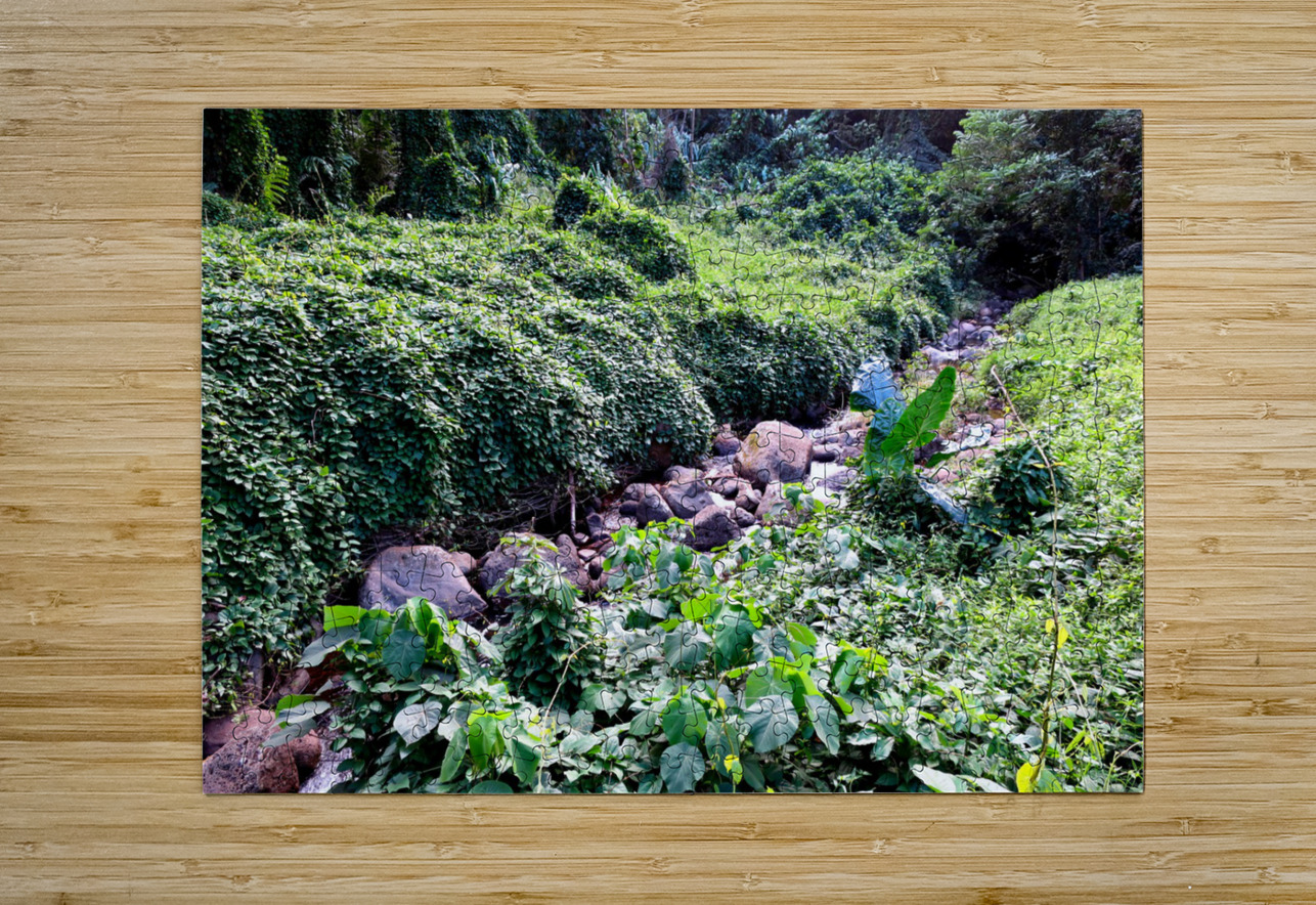 Hiking Hawaii 3 Click4Pix Puzzle printing