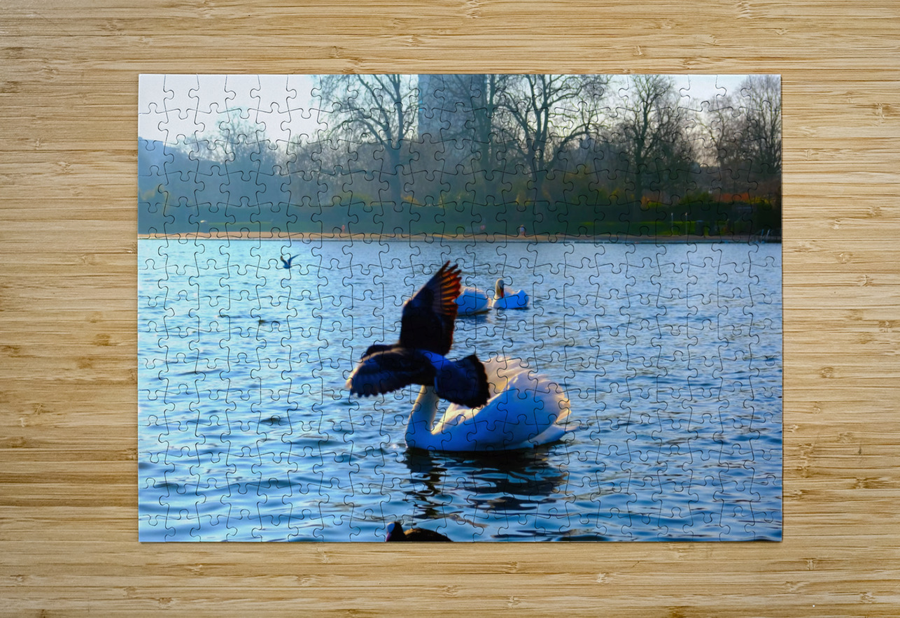 Pigeon-bombed Swan Click4Pix Puzzle printing