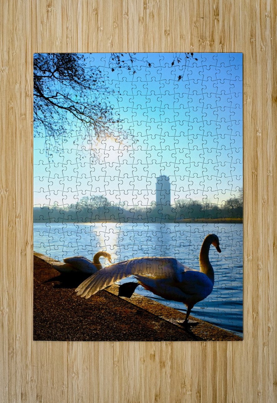 Swan Yoga Morning Stretch Click4Pix Puzzle printing