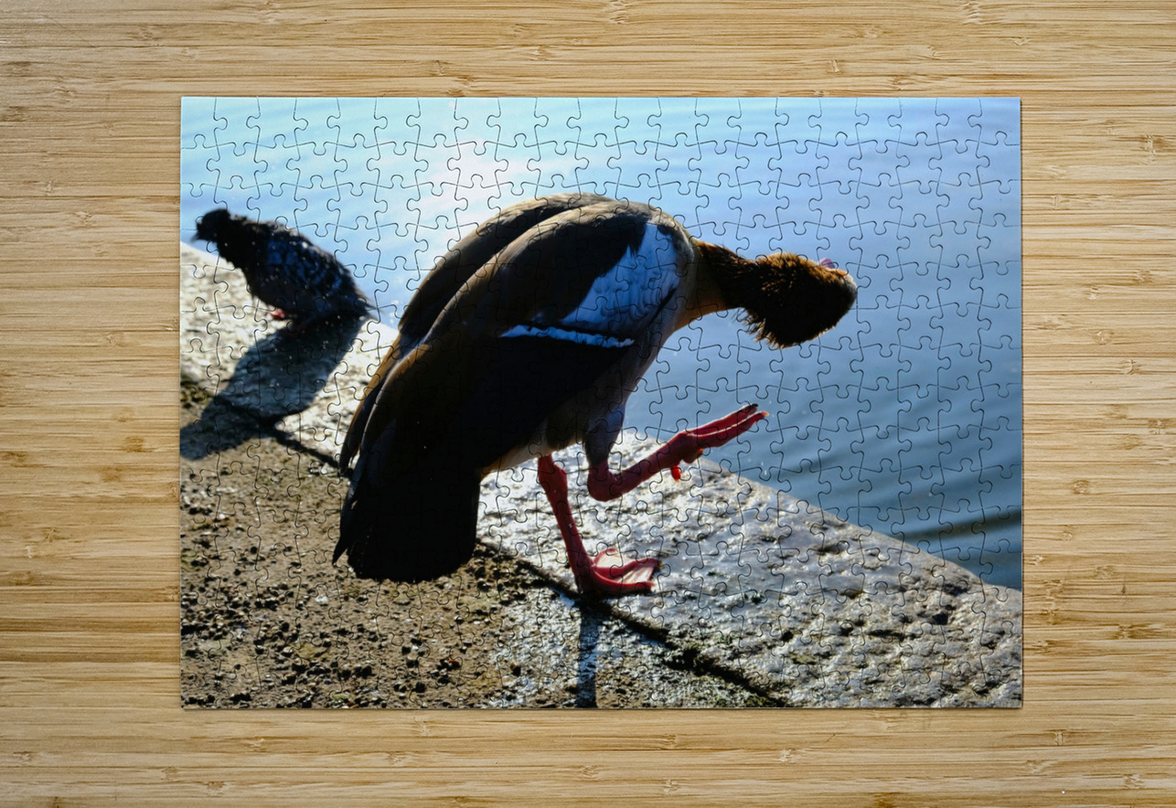 Is the Sky Falling...Just Checking Click4Pix Puzzle printing