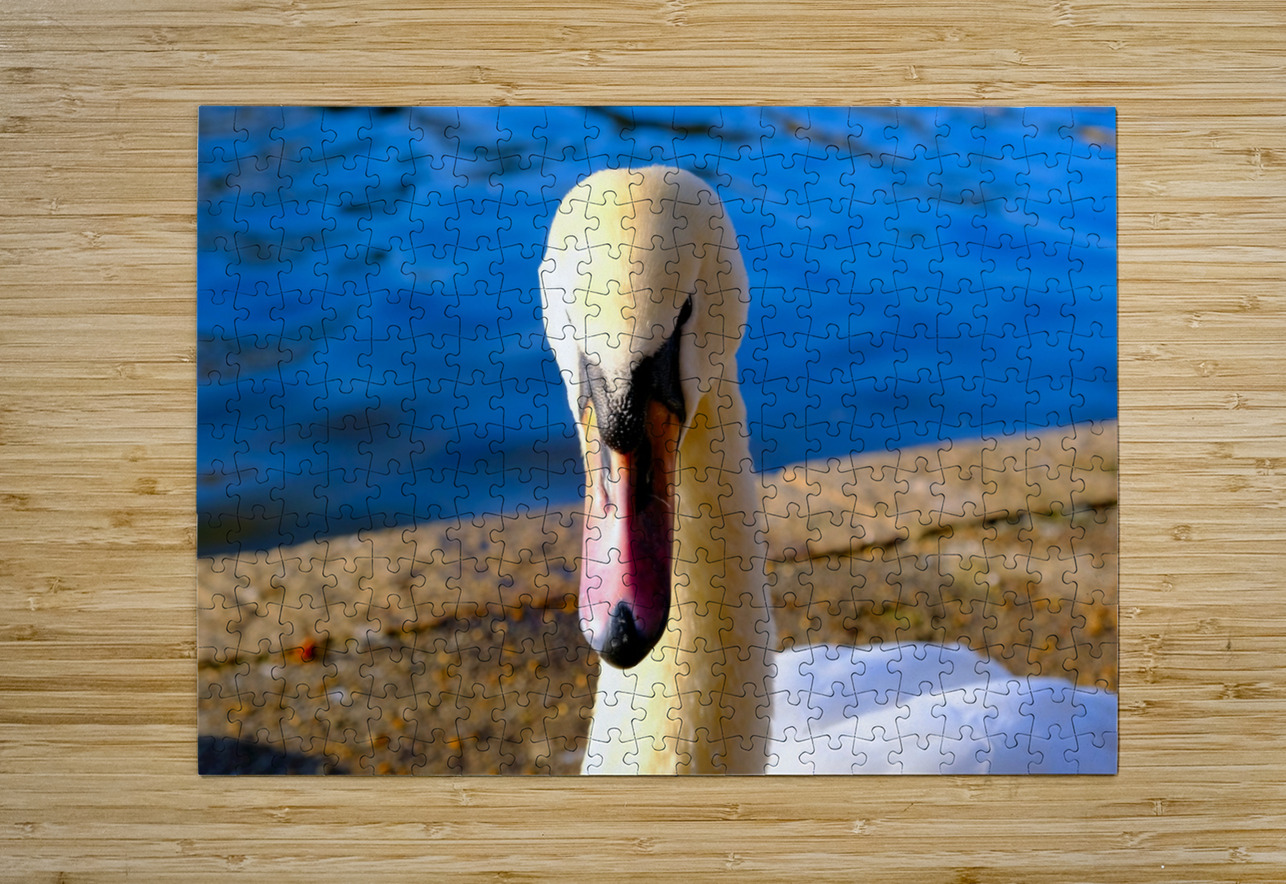 Swan Face 3 Click4Pix Puzzle printing