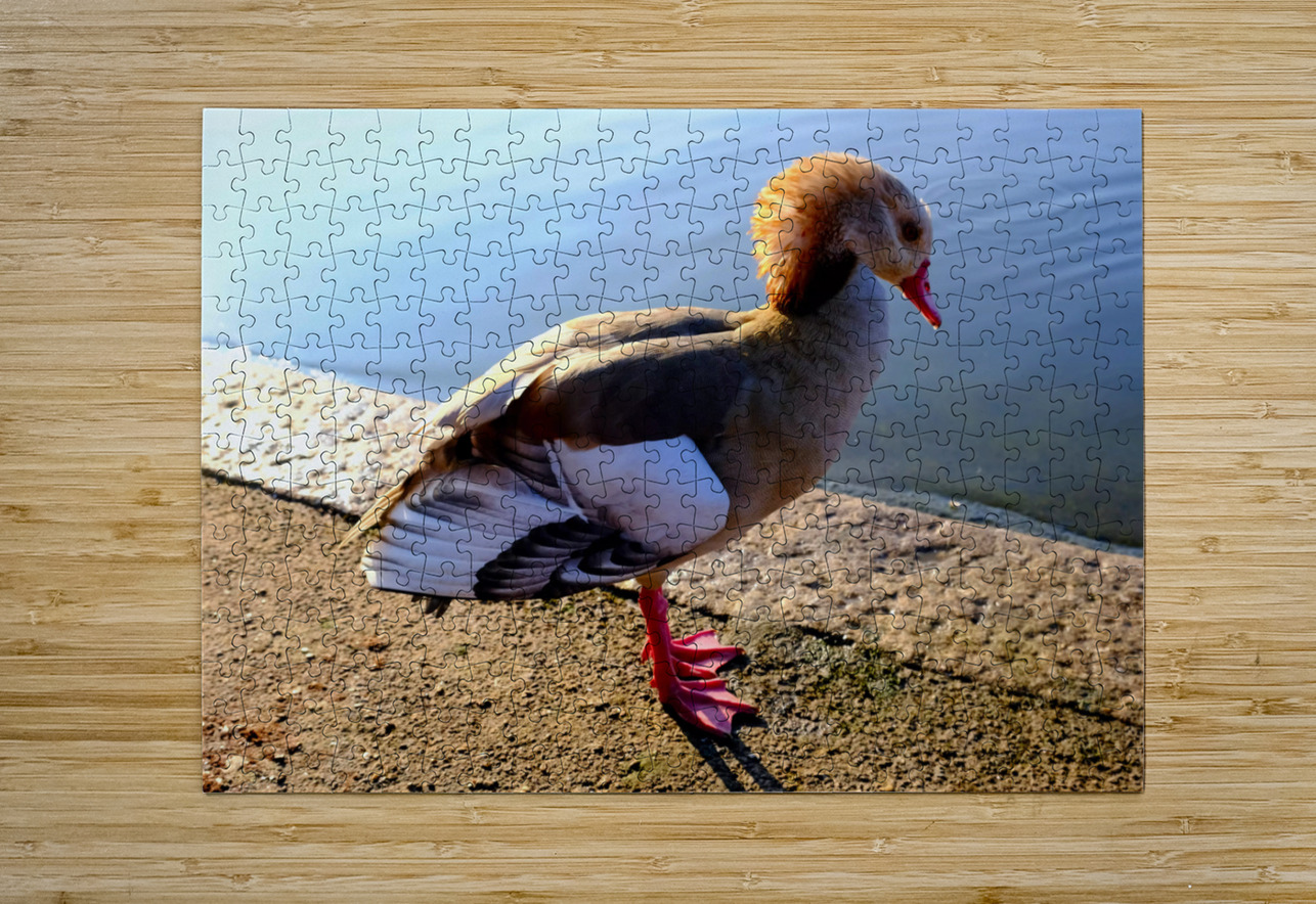 Duck Pose Click4Pix Puzzle printing