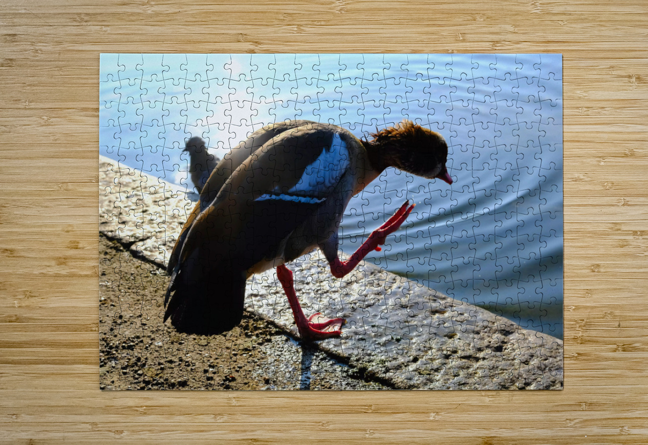  Step Off the Deep End Click4Pix Puzzle printing