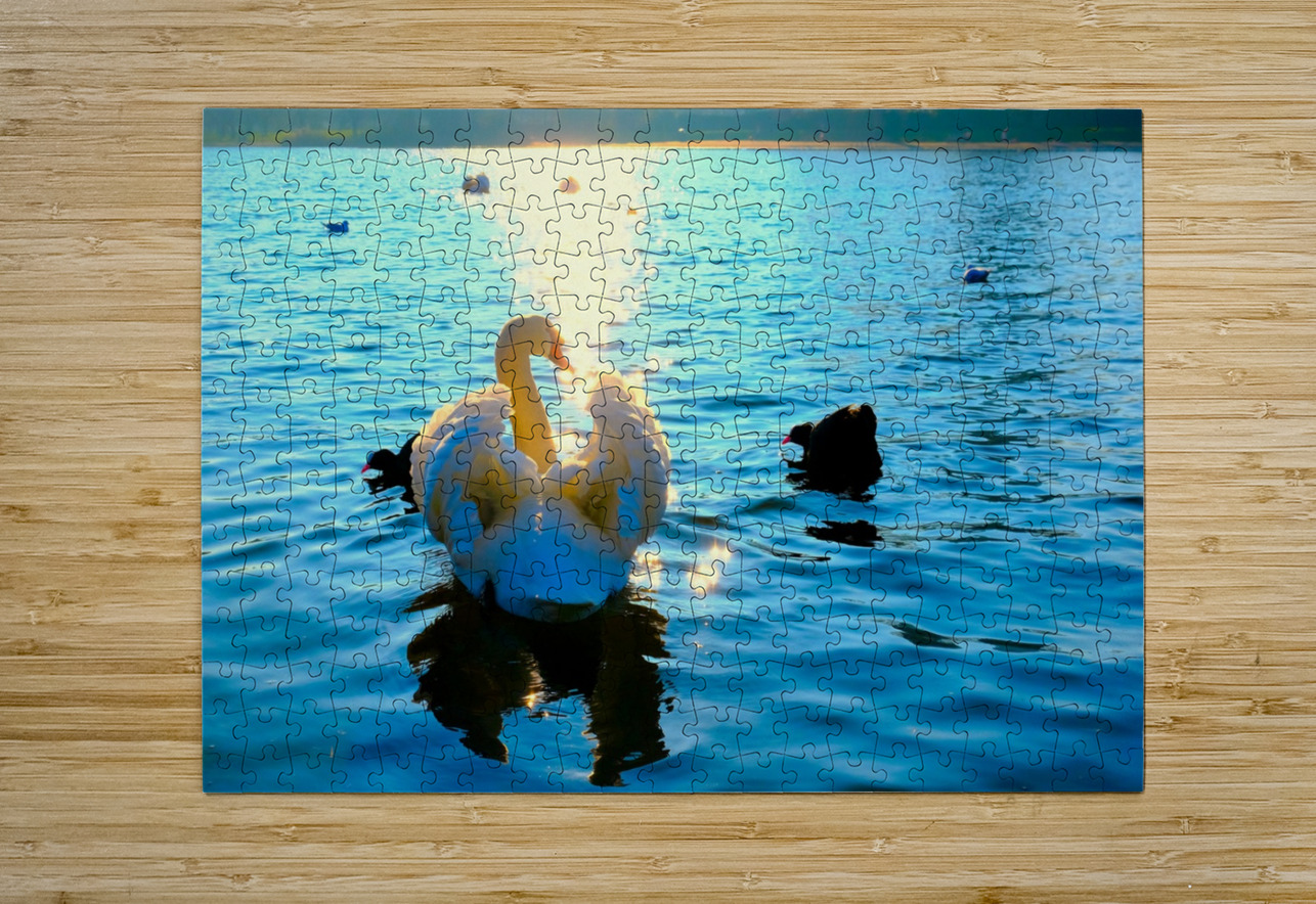 Luminous Voyage Click4Pix Puzzle printing