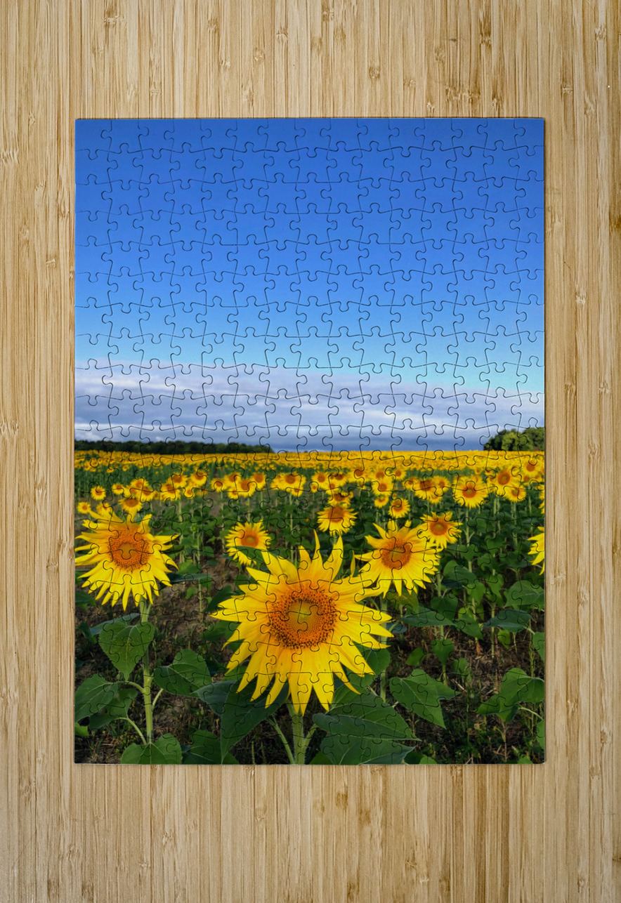 Fields of Joy Click4Pix Puzzle printing