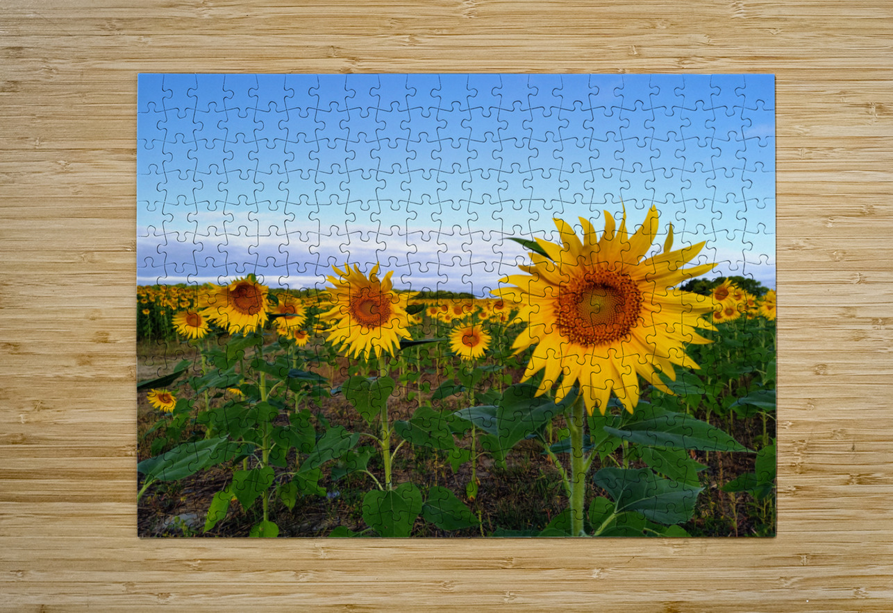 A Golden Gaze Click4Pix Puzzle printing