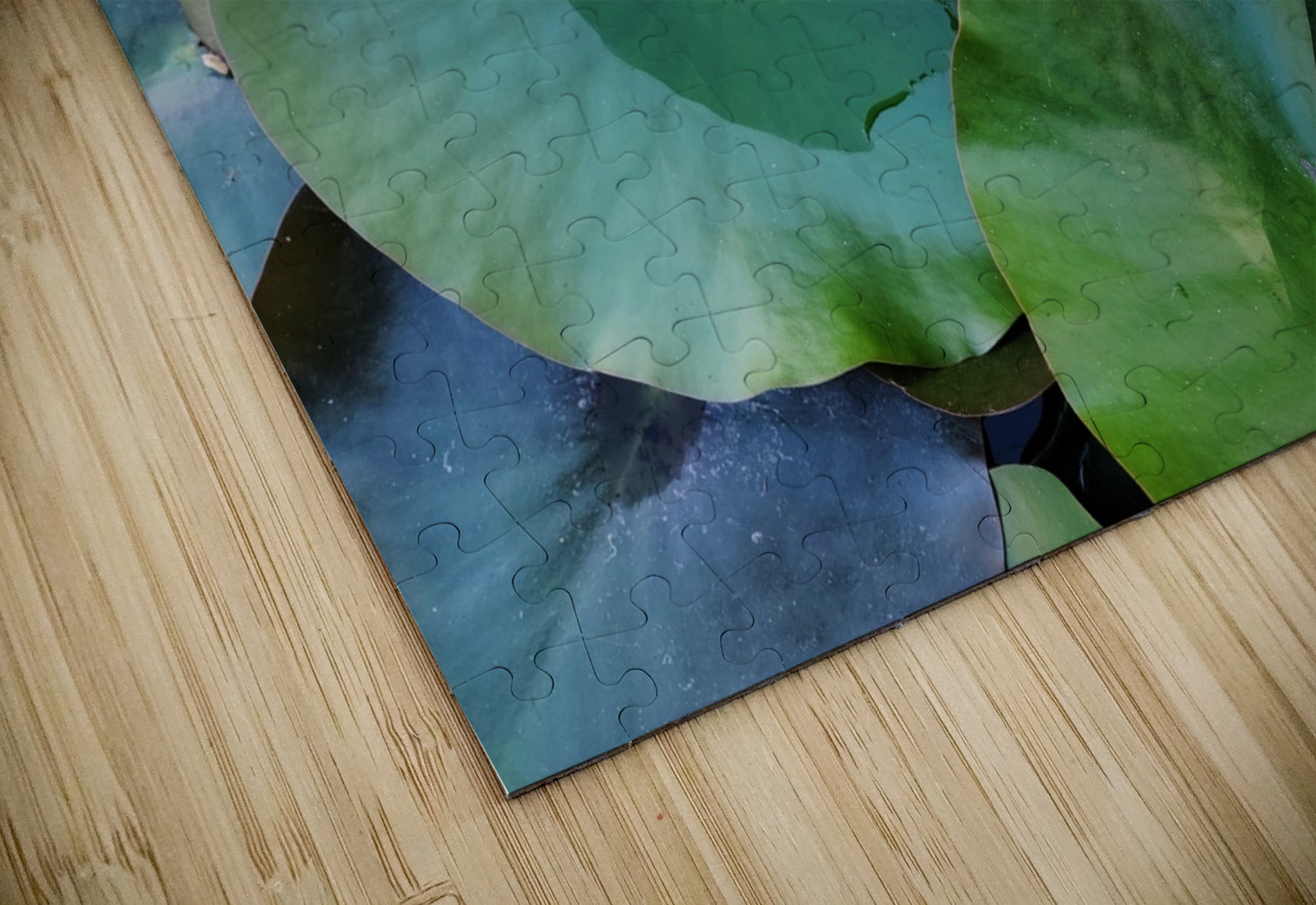 Emerald Cradle of Calm Click4Pix Puzzle