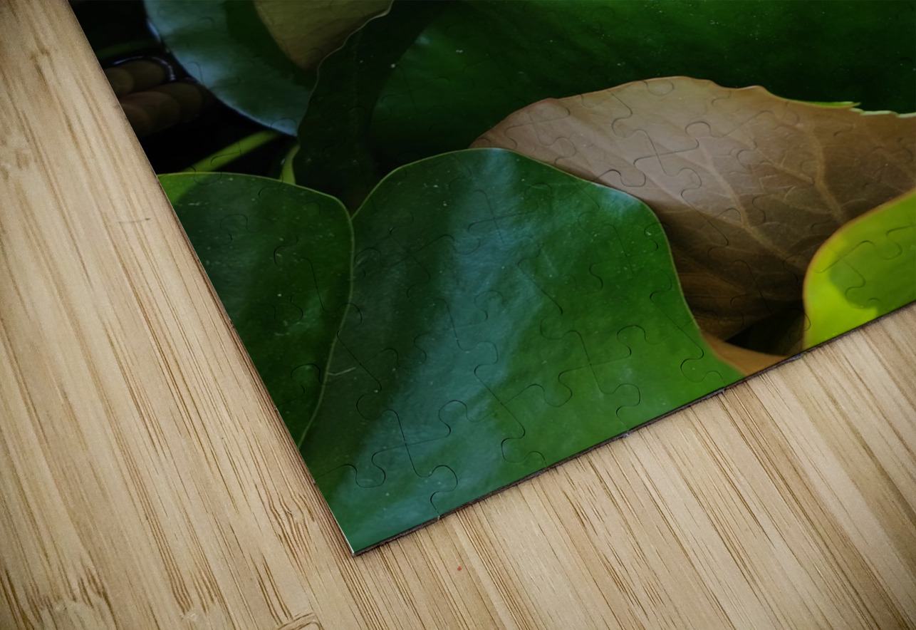 The Quiet Reveal: Beauty Beneath Click4Pix Puzzle