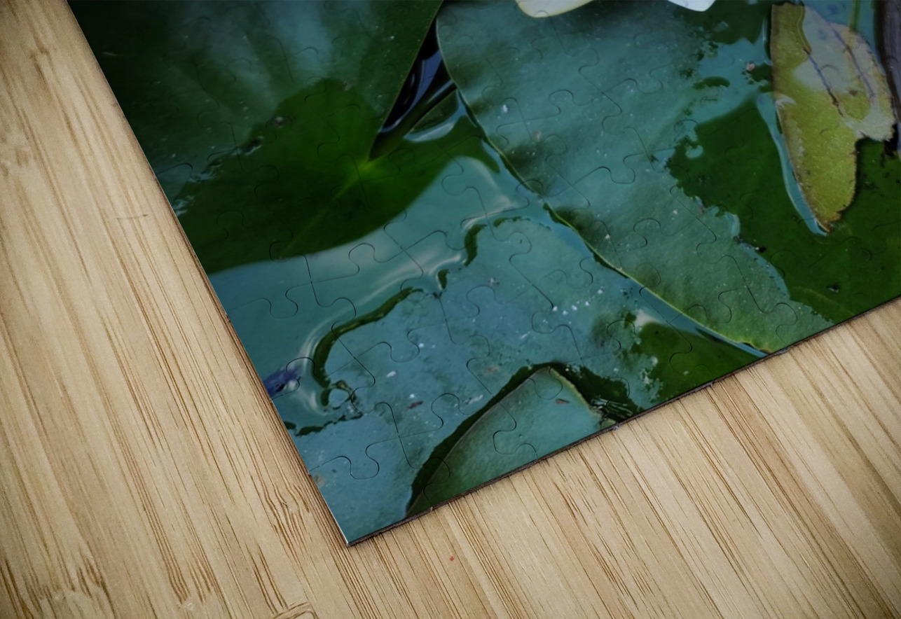 The Heart Within: Petals of Peace Click4Pix Puzzle