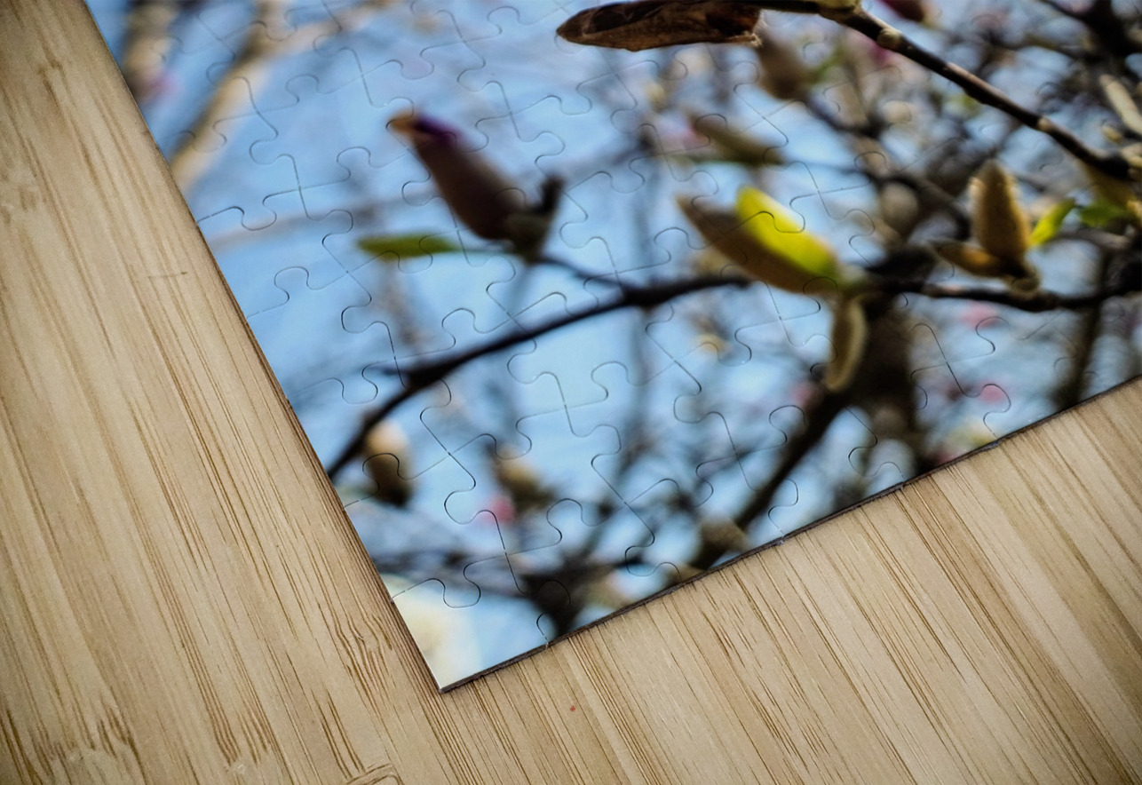 The Quiet Language of Petals Click4Pix Puzzle