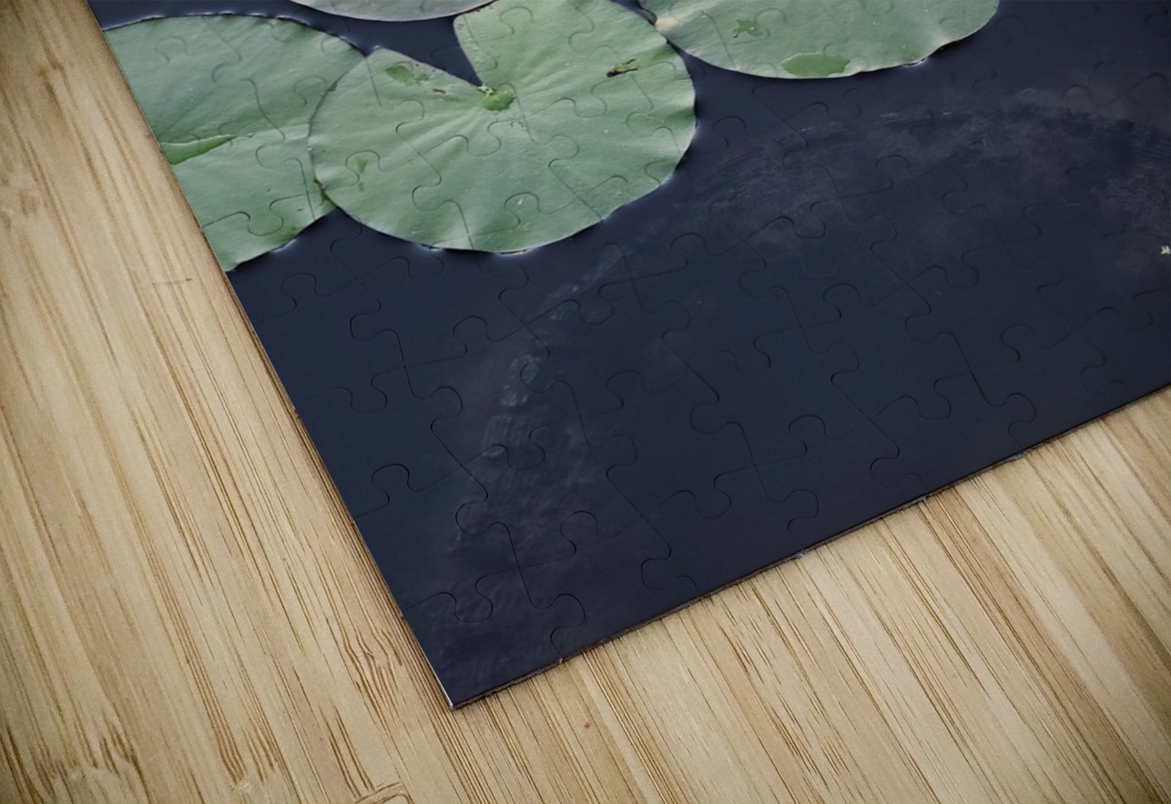 Blooms of Joy: Centered Among Giants Click4Pix Puzzle